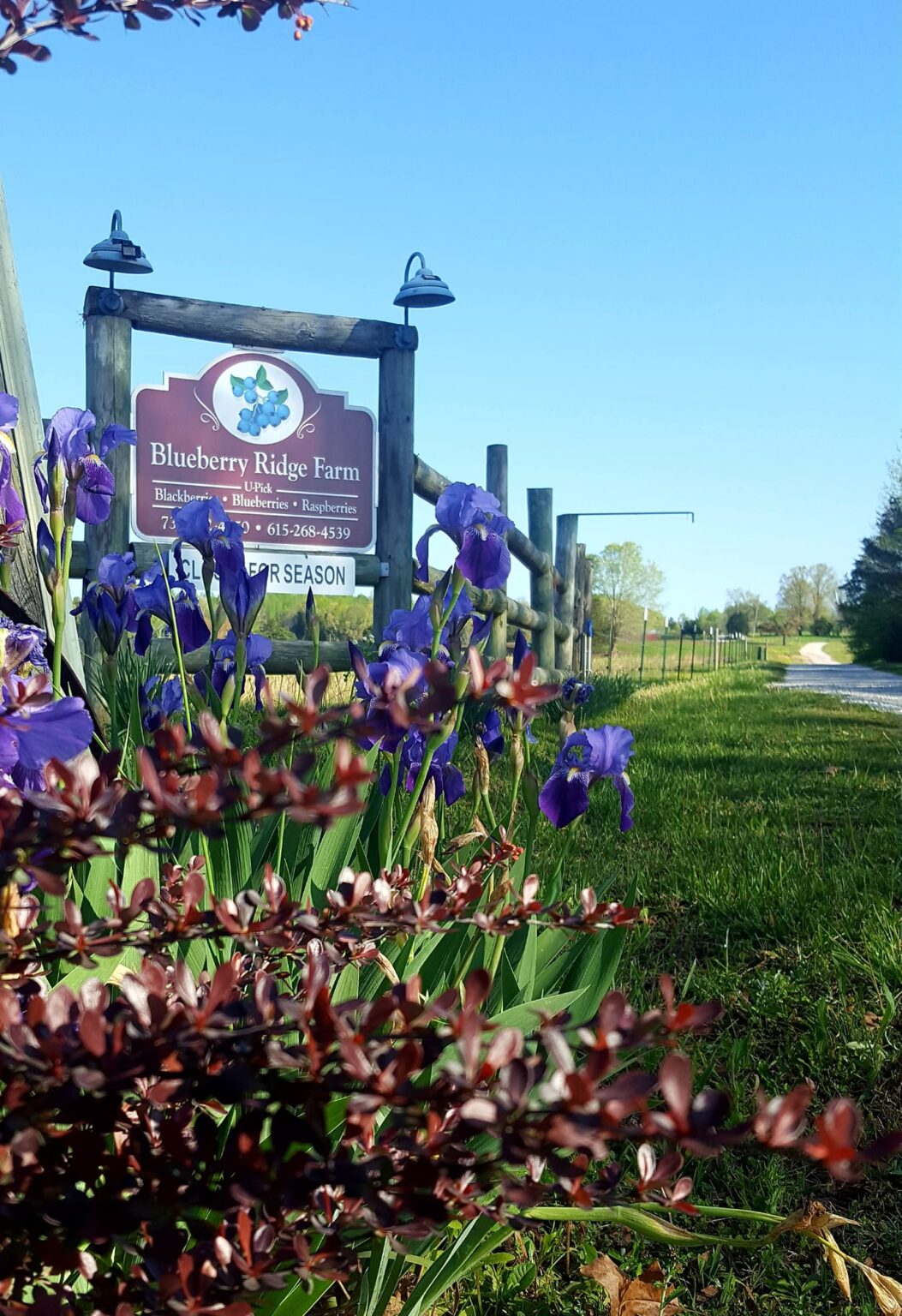 Blueberry Ridge Farm TN - Tennessee Agritourism Association